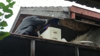 Salah satu petugas DPKP Banjarmasin lakukan evakuasi sarang tawon vespa di atas rumah warga di Jalan Jafri Zam Zam.-DPKP Banjarmasin evakuasi sarang Tawon Vespa