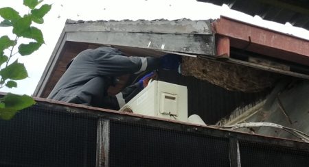 Salah satu petugas DPKP Banjarmasin lakukan evakuasi sarang tawon vespa di atas rumah warga di Jalan Jafri Zam Zam.-DPKP Banjarmasin evakuasi sarang Tawon Vespa