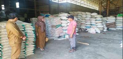 Compress_20250108_104208_8228